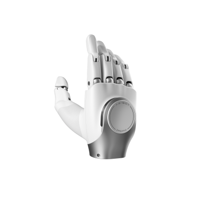 OmniHand 2025